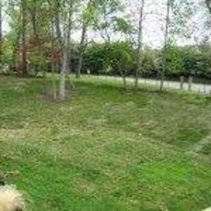 Meet your Posher, Louis